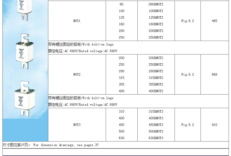 智廣熔斷器_02